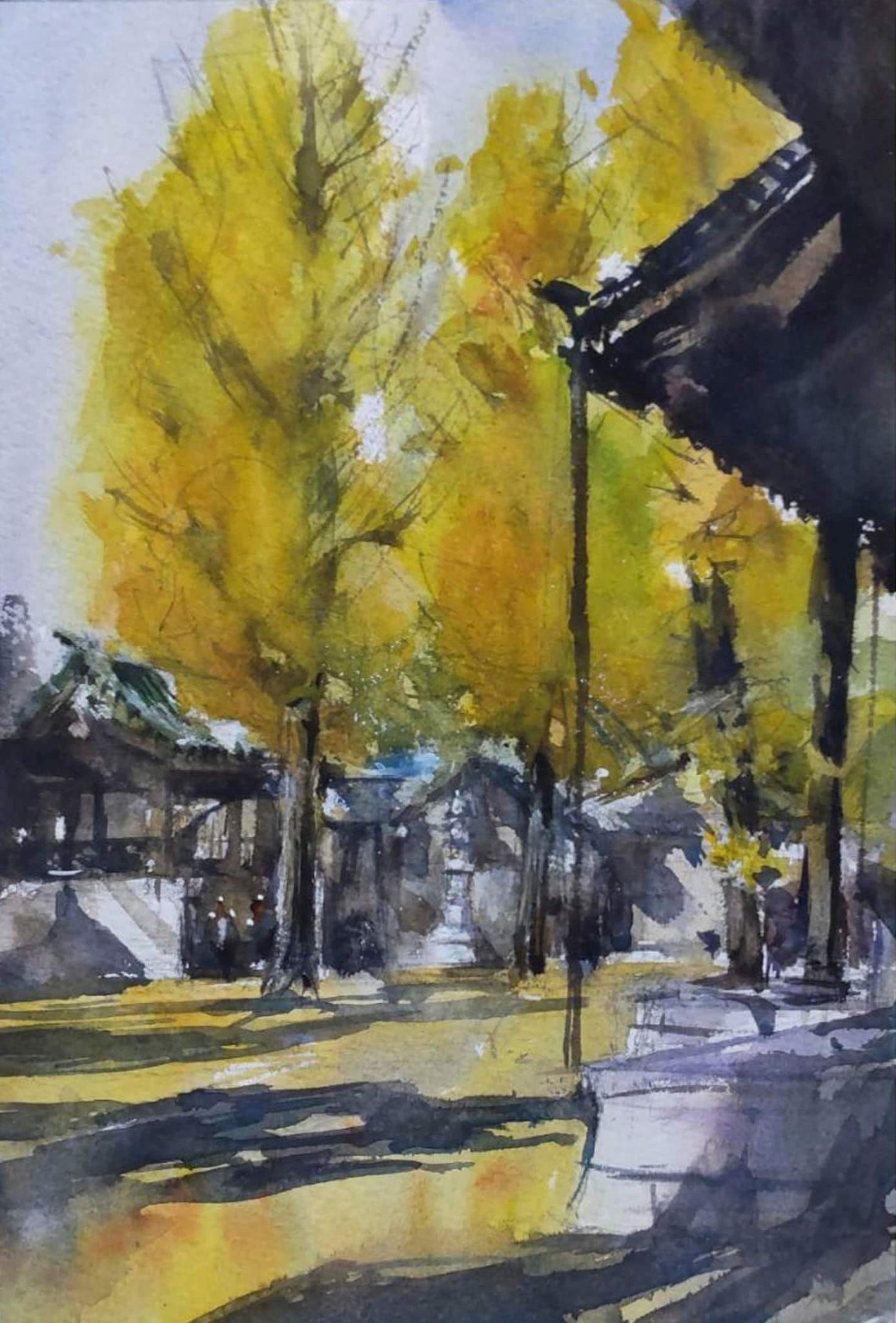 Ginkgo tree in the precincts/岡本 正一