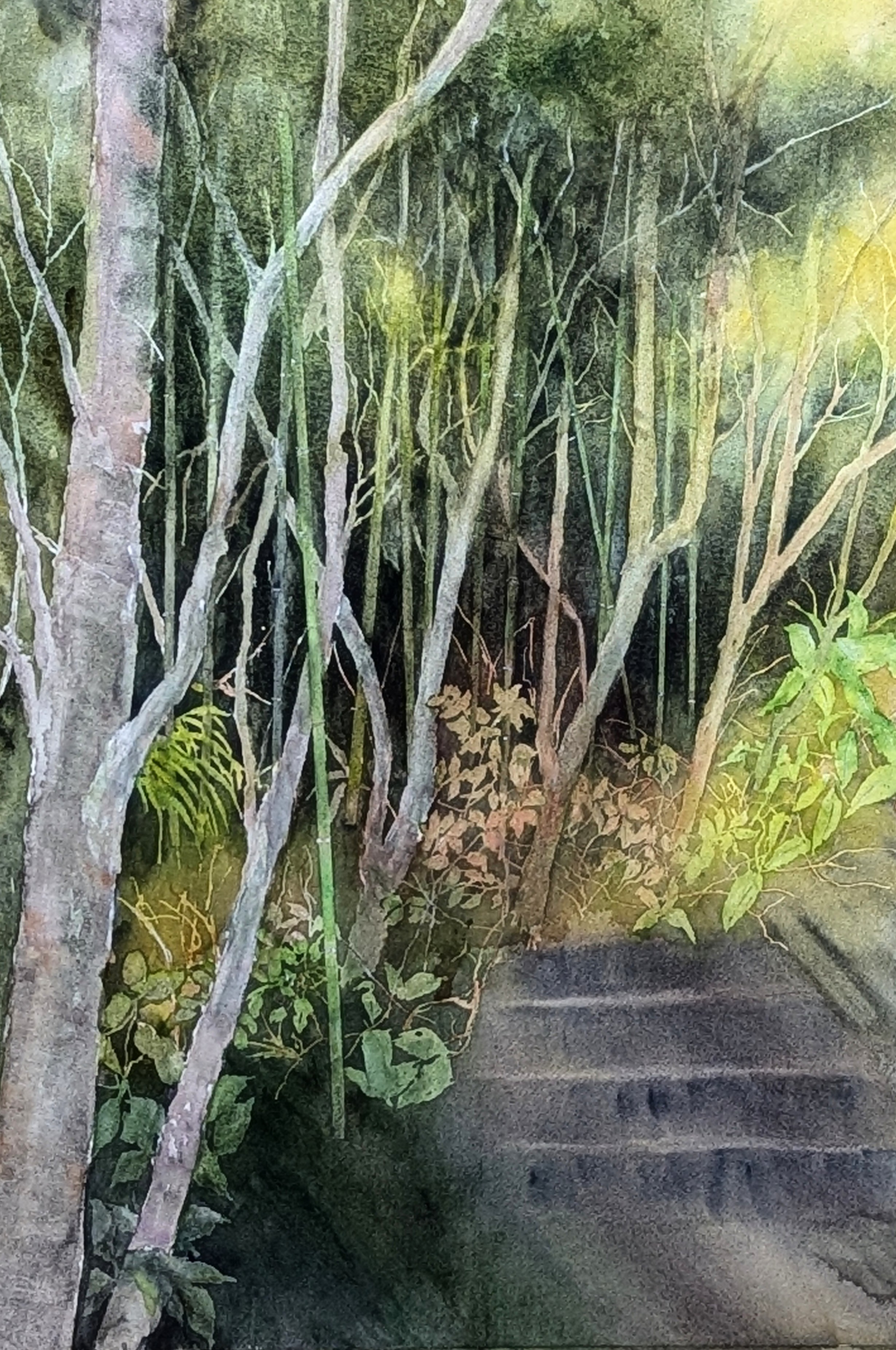 好奇心/水谷 和史