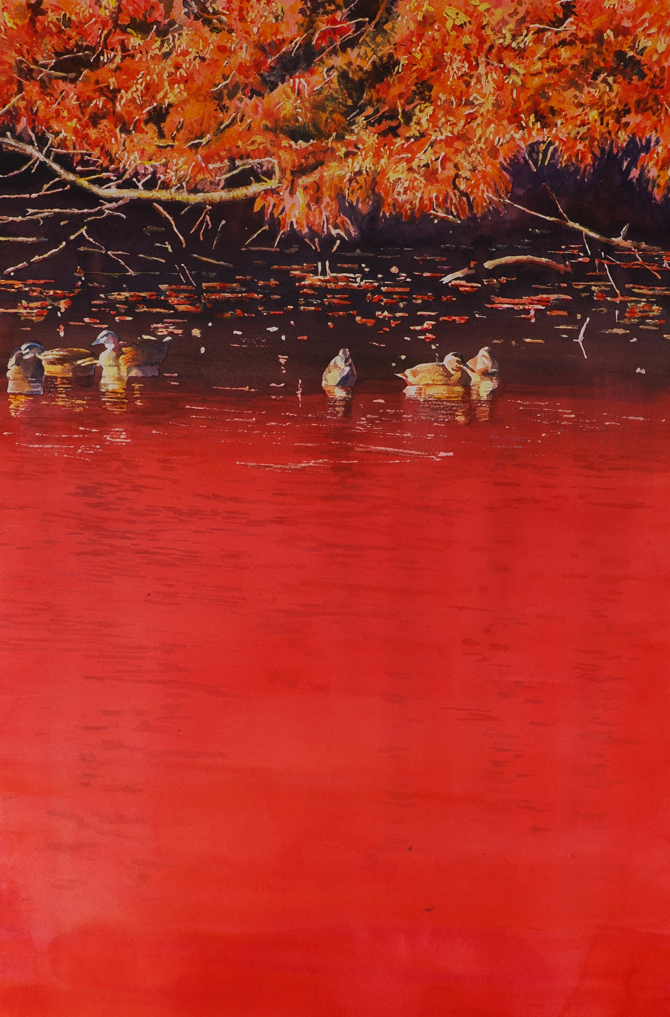 紅に水音微か/荒井 啓晶